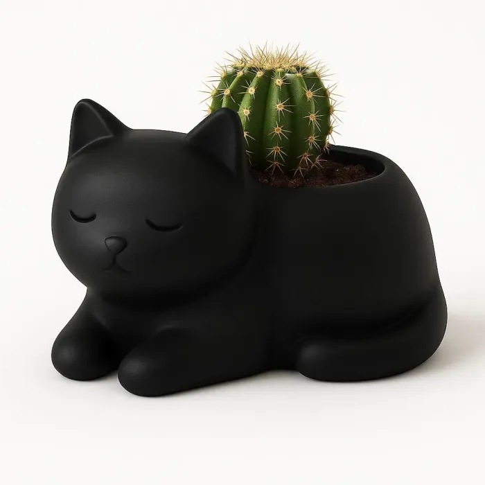 Maceta Gato Negro Zen